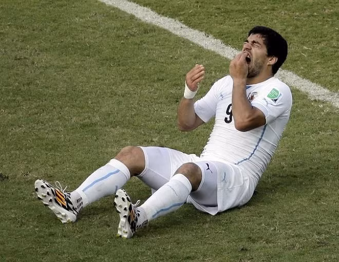 Suarez vẫn chối việc cố tình cắn Chiellini