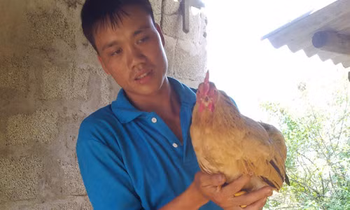 Anh Hoàng Dàu Hang khoe con gà mái nhiều cựa. Ảnh: Hồng Vân.