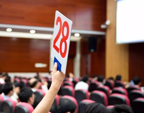 Thông đồng 'dìm' đấu giá tài sản