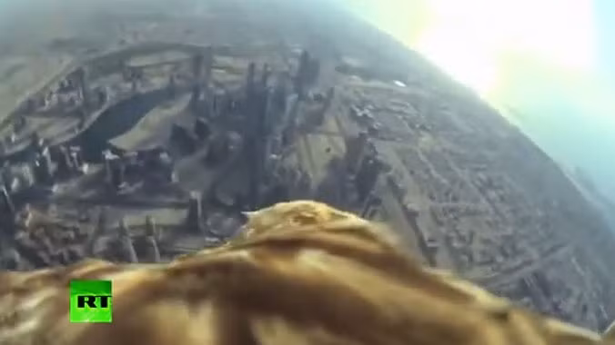 Ngắm thành phố Dubai trên cánh đại bàng