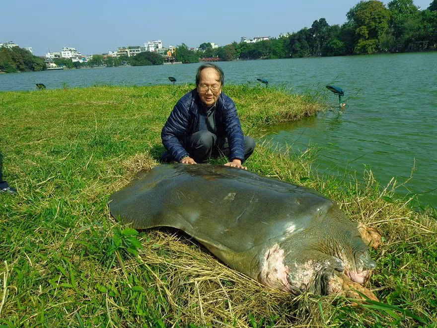 'Hồ Gươm không phải bể cá để thích thả gì thì thả'