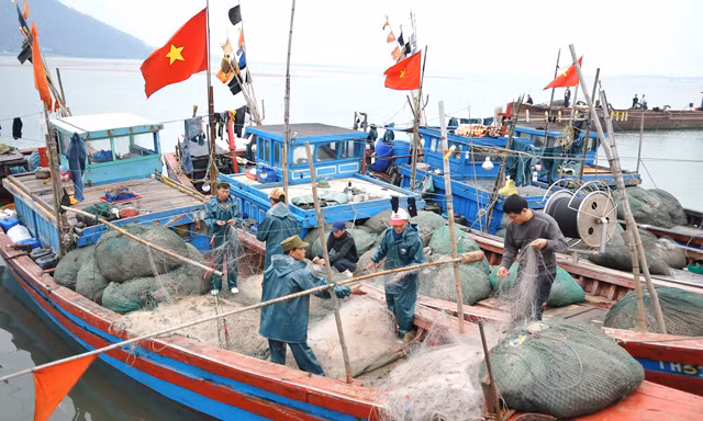 Bốn tỉnh miền Trung đang khẩn trương giải ngân đền bù cho ngư dân bị thiệt hại do trong sự cố môi trường do Formosa xả thải.