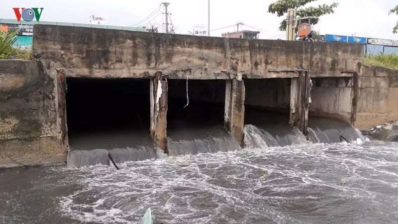Các cửa xả thải quá tải tràn ra môi trường.
