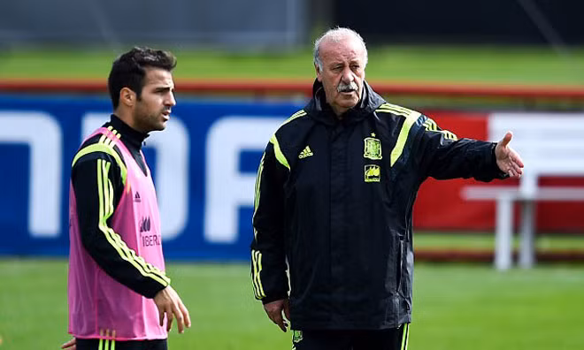 Không chịu nổi cảnh chướng tai gai mắt, HLV Del Bosque đã yêu cầu Fabregas cởi áo bíp đưa lại cho Xabi Alonso rồi tống cổ anh khỏi sân