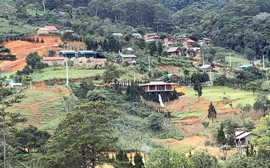 Ngôi làng "mọc" trái phép trên đất lâm nghiệp