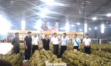 Doanh nghiệp Trung Quốc nói gì về chất lượng sầu riêng Việt Nam?