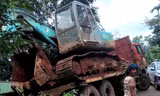Xe tải mất phanh, tông chết 18 con bò, tài xế phải đền hơn 300 triệu đồng