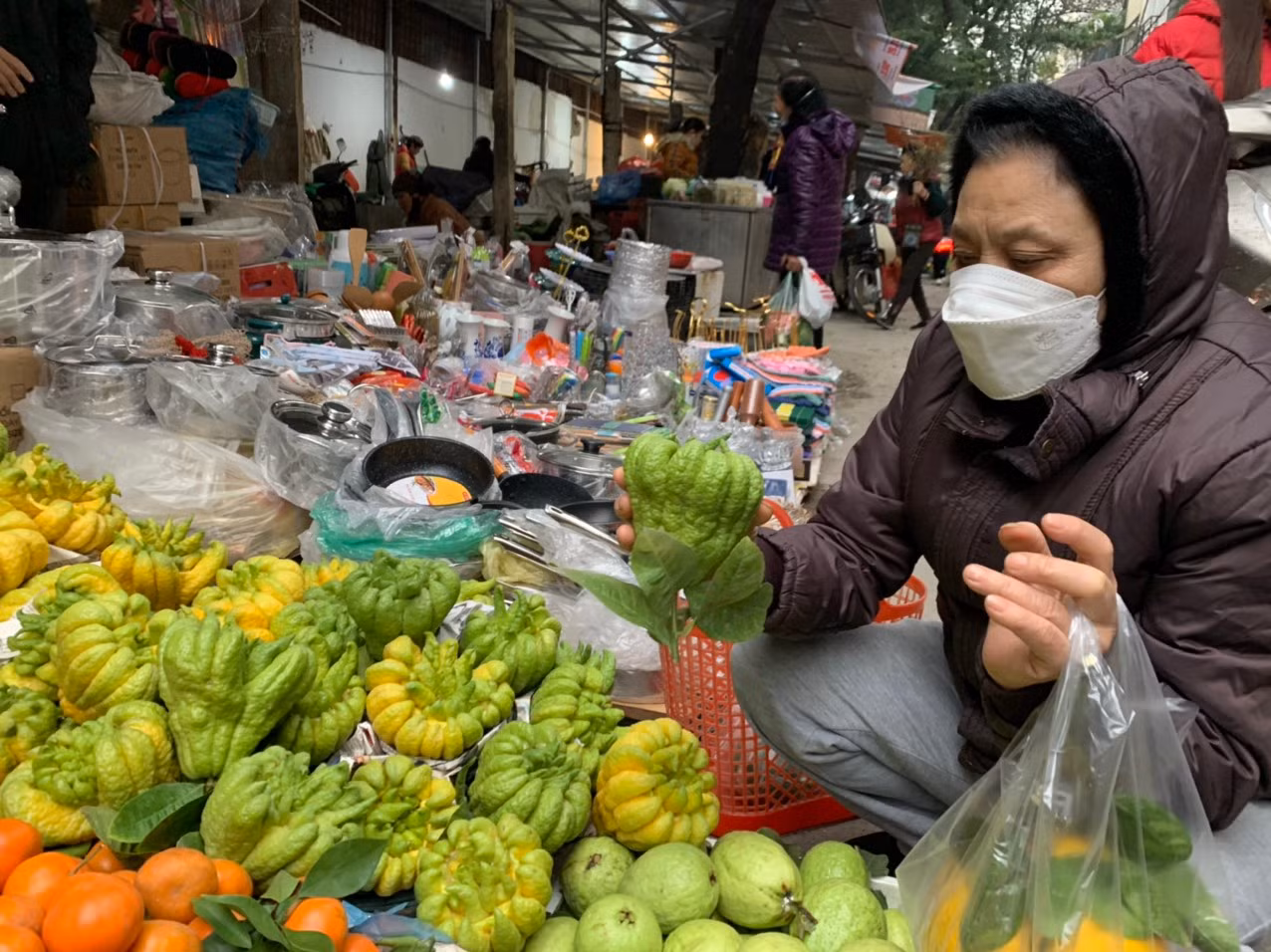 Những quả phật thủ bé nhưng giá đã 200.000 đồng