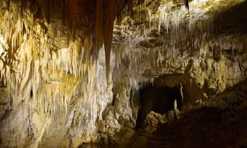 Phong Nha vào top 5 hang động kỳ ảo nhất thế giới ảnh 2