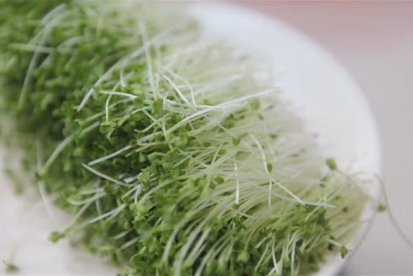 Mặt nạ làm đẹp từ bột nghệ giúp da trắng hồng láng mịn ảnh 5