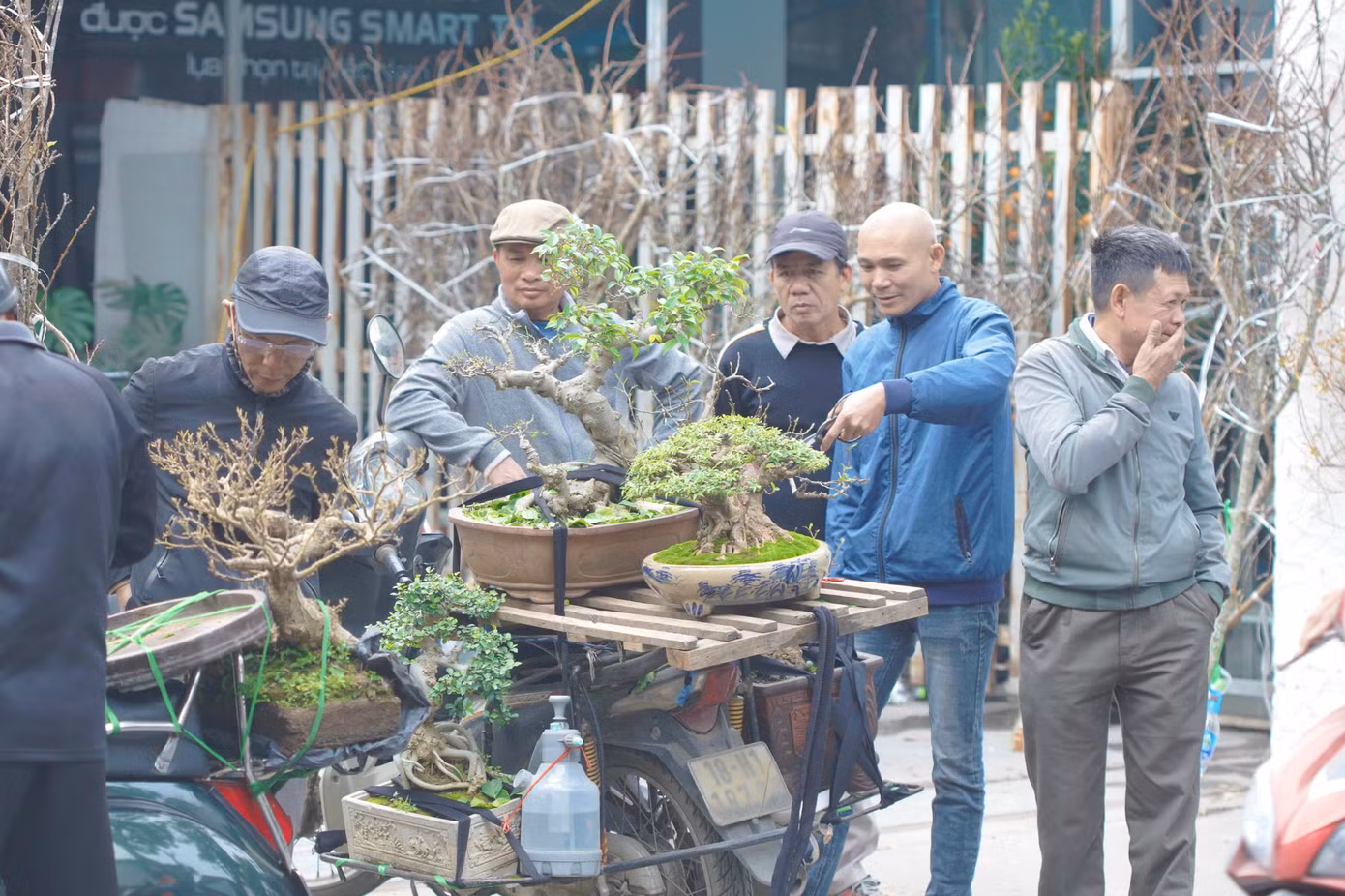 Phố cây cảnh Hoàng Hoa Thám không chỉ là nơi giao thương, mua bán mà còn là nét văn hóa đặc trưng của Hà Nội mỗi dịp Tết đến xuân về, góp phần làm phong phú thêm đời sống tinh thần của người dân Thủ đô.