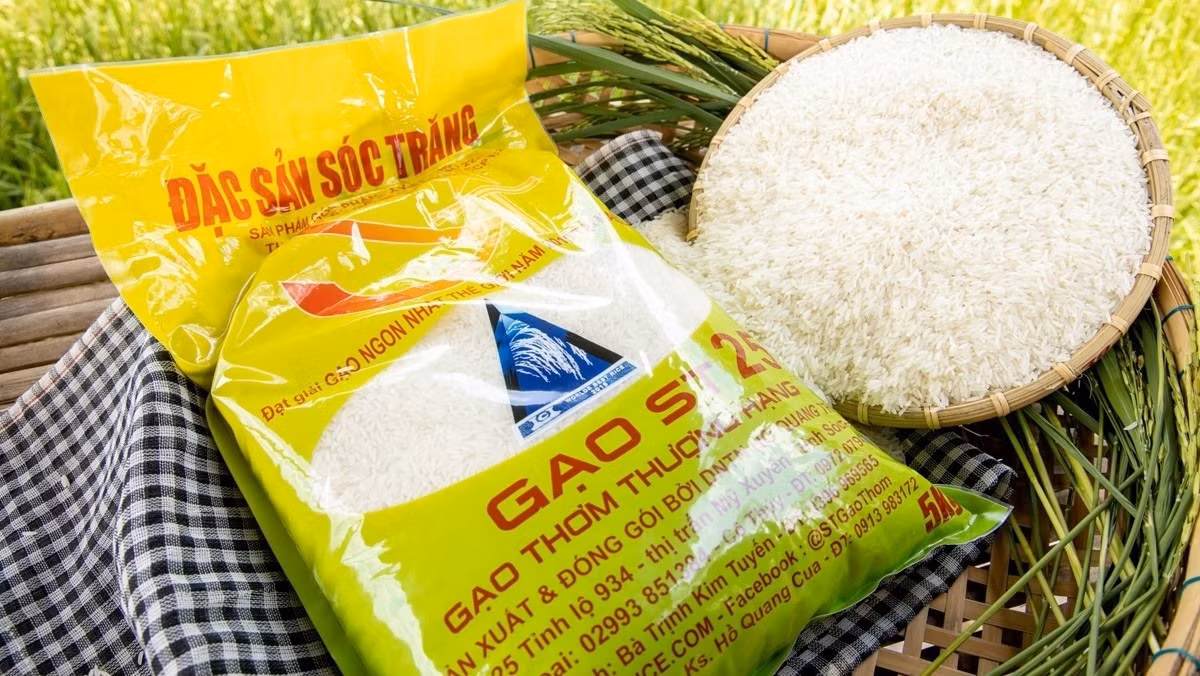 Gạo ST25 được nhiều thị trường ưa chuộng nhưng chưa đáp ứng đủ yêu cầu. Ảnh minh họa.