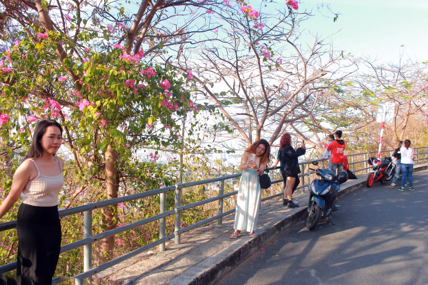 Chiều ngày 1/5, các điểm check-in nổi tiếng ở TP Vũng Tàu như ngọn Hải Đăng, hẻm Trần Phú, hàng quán khu vực Bãi Dâu... thu hút lượng lớn du khách đến tham quan và chụp ảnh.