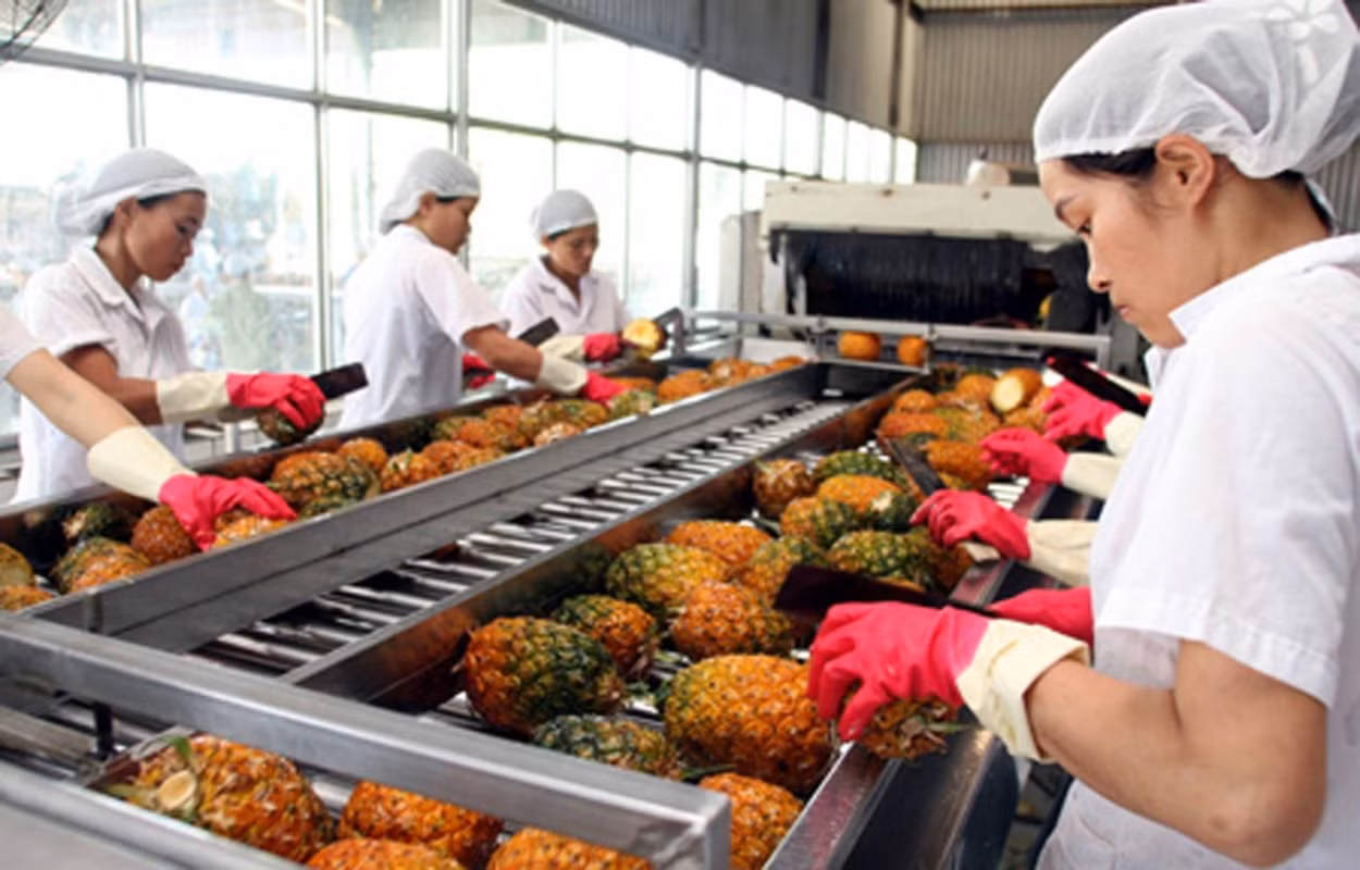 Bộ NN&amp;MT đưa ra loạt giải pháp để phát triển nông sản nội địa. Ảnh minh họa: IT.