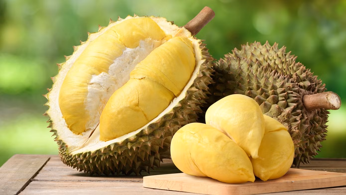 Xuất khẩu sầu riêng tăng mạnh vượt Thái Lan. Ảnh minh họa.