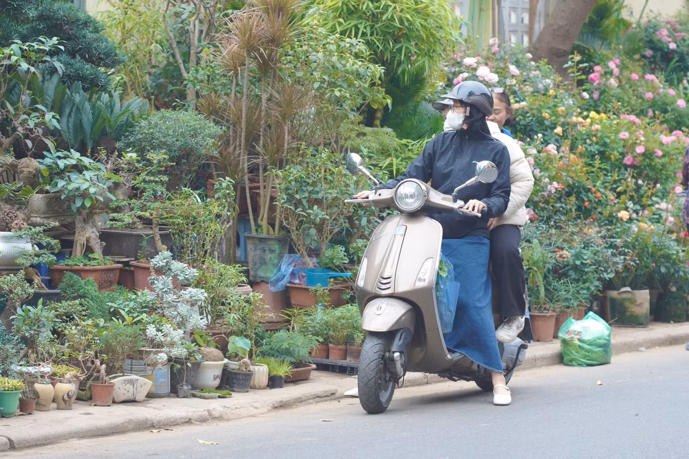 Lớp "áo mới" rực rỡ sắc màu của hàng ngàn loài hoa đang khoe sắc tại phố cây cảnh Hoàng Hoa Thám khiến cho không gian ngập tràn không khí Tết. Những người đi qua đây dường như đi chậm hơn để nhìn ngắm muôn vàn loài hoa và hít hà không khí mùa xuân đang tràn về.