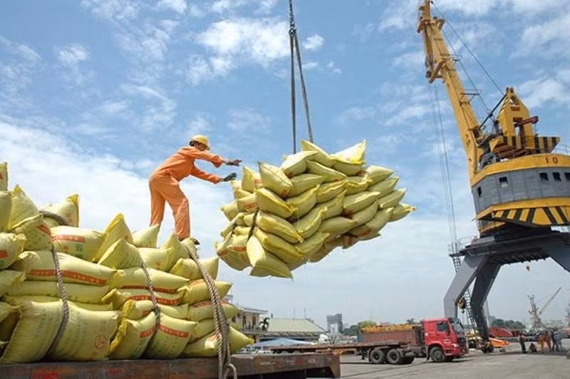 Gạo xuất khẩu lấy lại vị thế ‘đắt giá nhất thế giới’. Ảnh: TL.