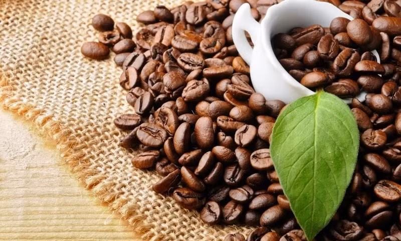 Giá cà phê tăng cao trong thời gian qua. Ảnh minh họa. Giá cà phê tăng cao trong thời gian qua. Ảnh minh họa.