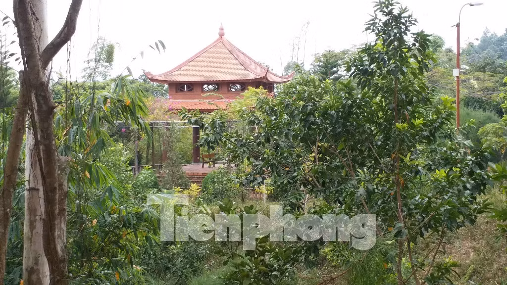 Cận cảnh 'biệt phủ' trái phép trên đất vàng đặc khu Vân Đồn ảnh 8
