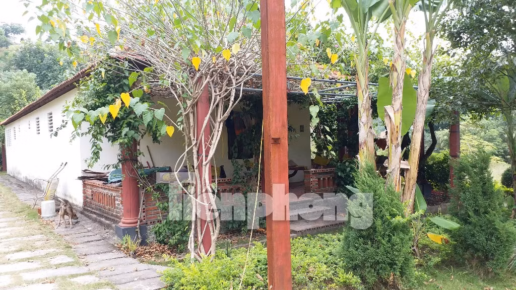 Cận cảnh 'biệt phủ' trái phép trên đất vàng đặc khu Vân Đồn ảnh 9