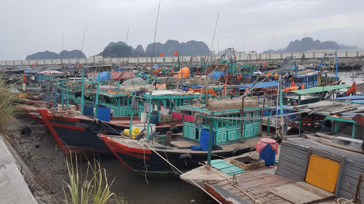Bão số 2: Cô Tô cấm tàu, 1.640 du khách vẫn ở lại đảo ảnh 1