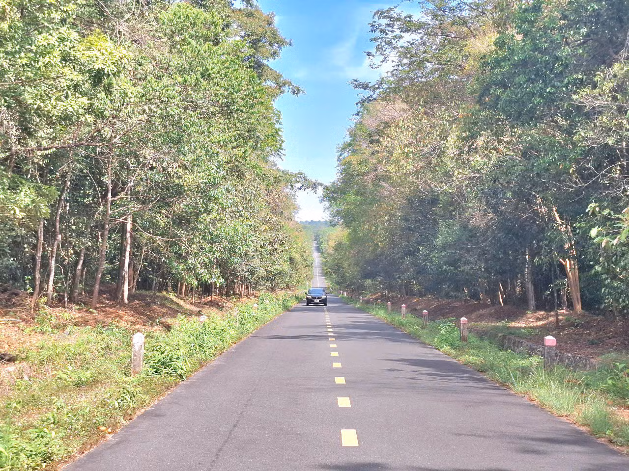 Tuyến đường xuyên rừng Khu bảo tồn thiên nhiên văn hóa Đồng Nai dài hơn 30km