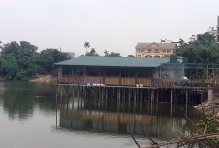 Hồ sen nổi tiếng gần Hồ Tây bị băm nát, có lấy lại được không? ảnh 1