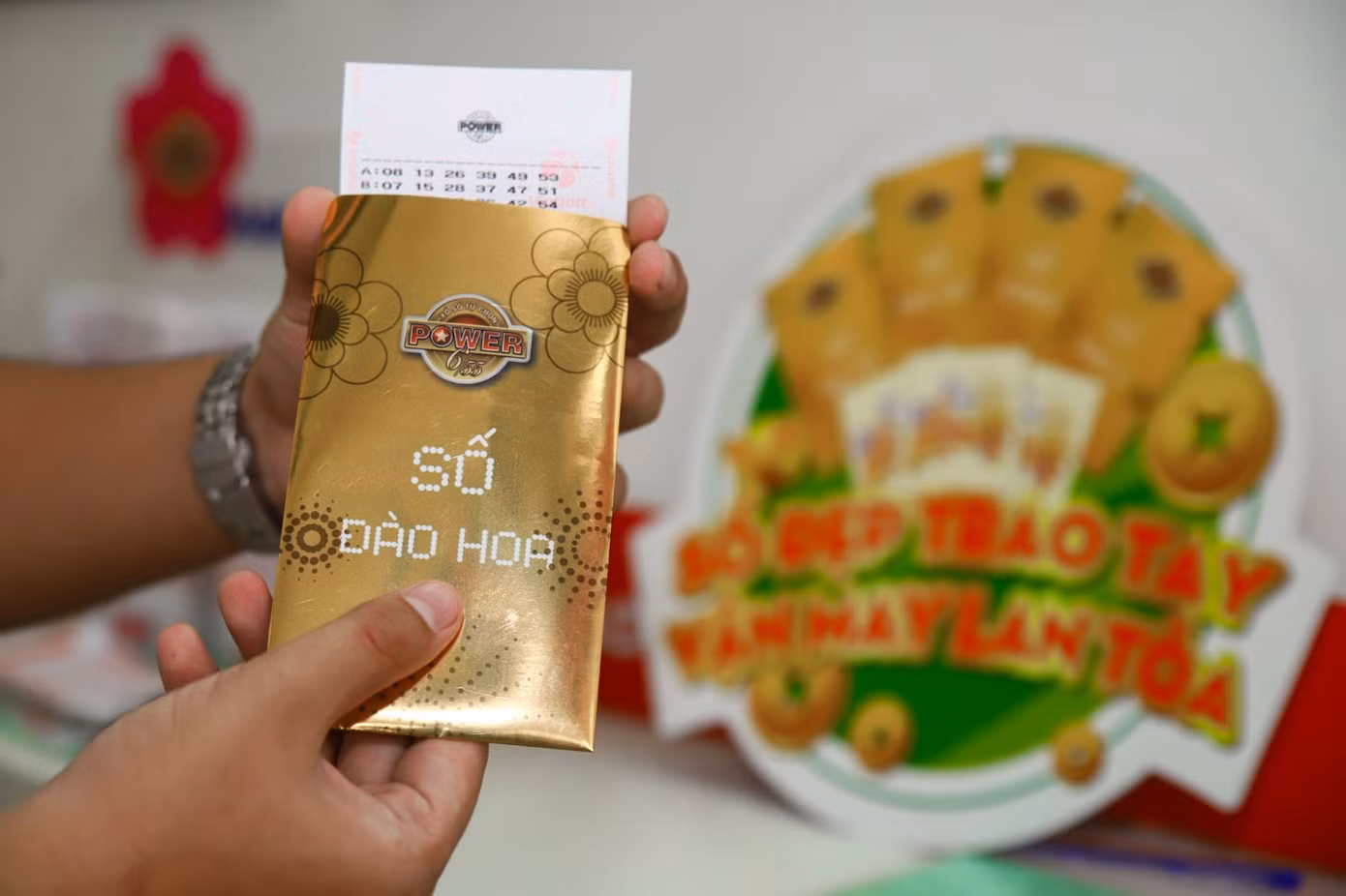 Dàn cây cảnh sứ 'chân dài' chơi Tết độc nhất miền Tây ảnh 6 Dàn cây cảnh sứ 'chân dài' chơi Tết độc nhất miền Tây ảnh 6