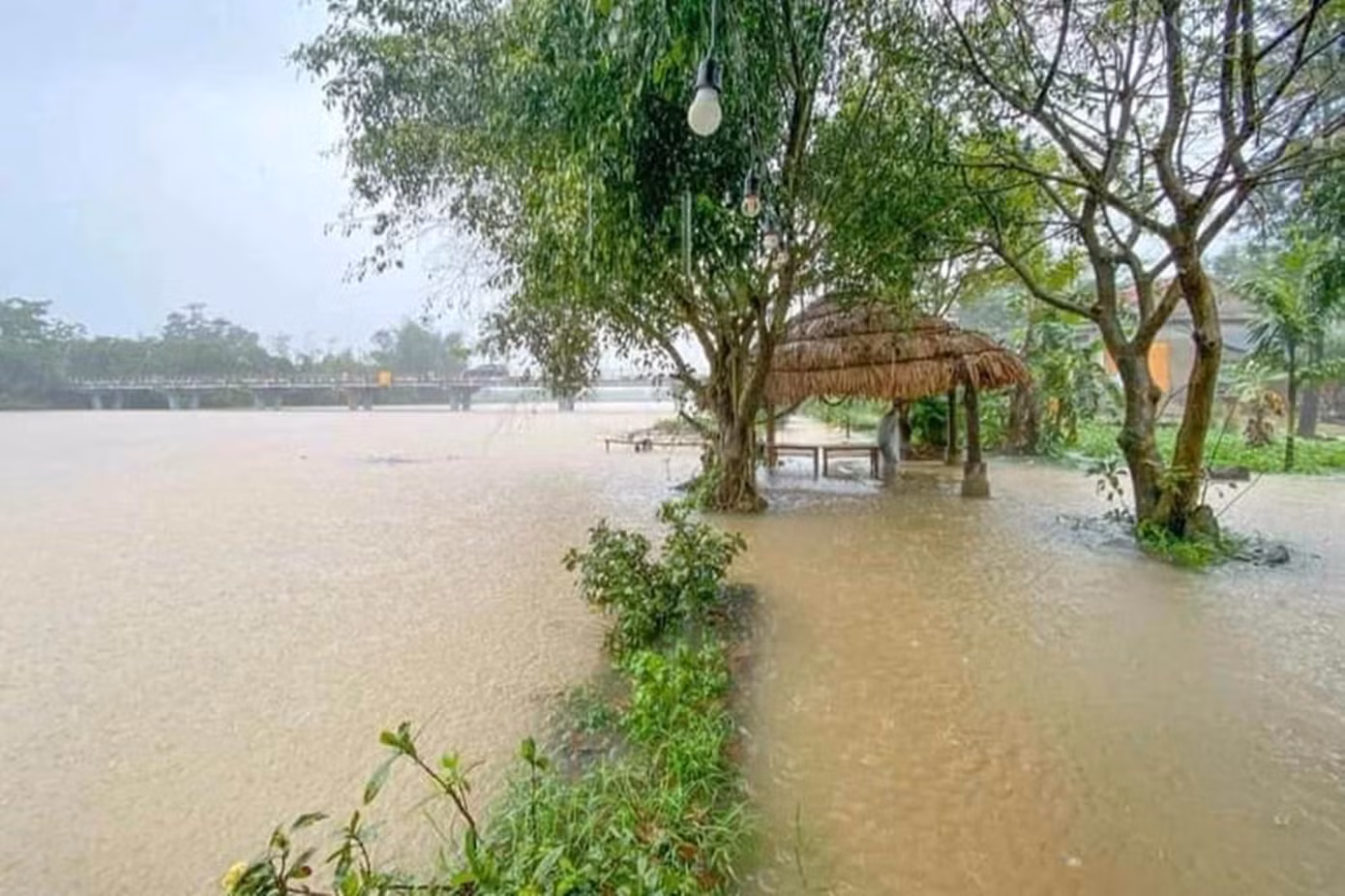 Sáng 2/4, Ban chỉ huy Phòng, chống thiên tai &amp; Tìm kiếm cứu nạn (PCTT&amp;TKCN) tỉnh TT-Huế cho biết, mưa lớn gây lũ trái mùa trên địa bàn hai ngày qua đã làm hơn 1.020 ha lúa, 1,5 ha màu bị ngập úng, với mức 10-30cm.