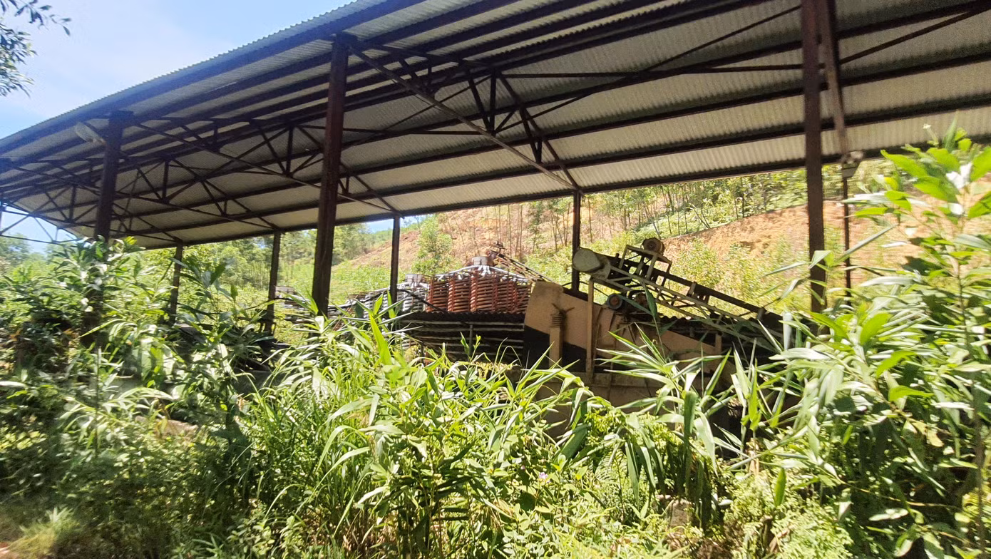 Nhà xưởng của Công ty Cổ phần Vật liệu và Công nghệ bị bỏ hoang nhiều năm, ngập trong cỏ dại, lau lách. Ảnh: N.V