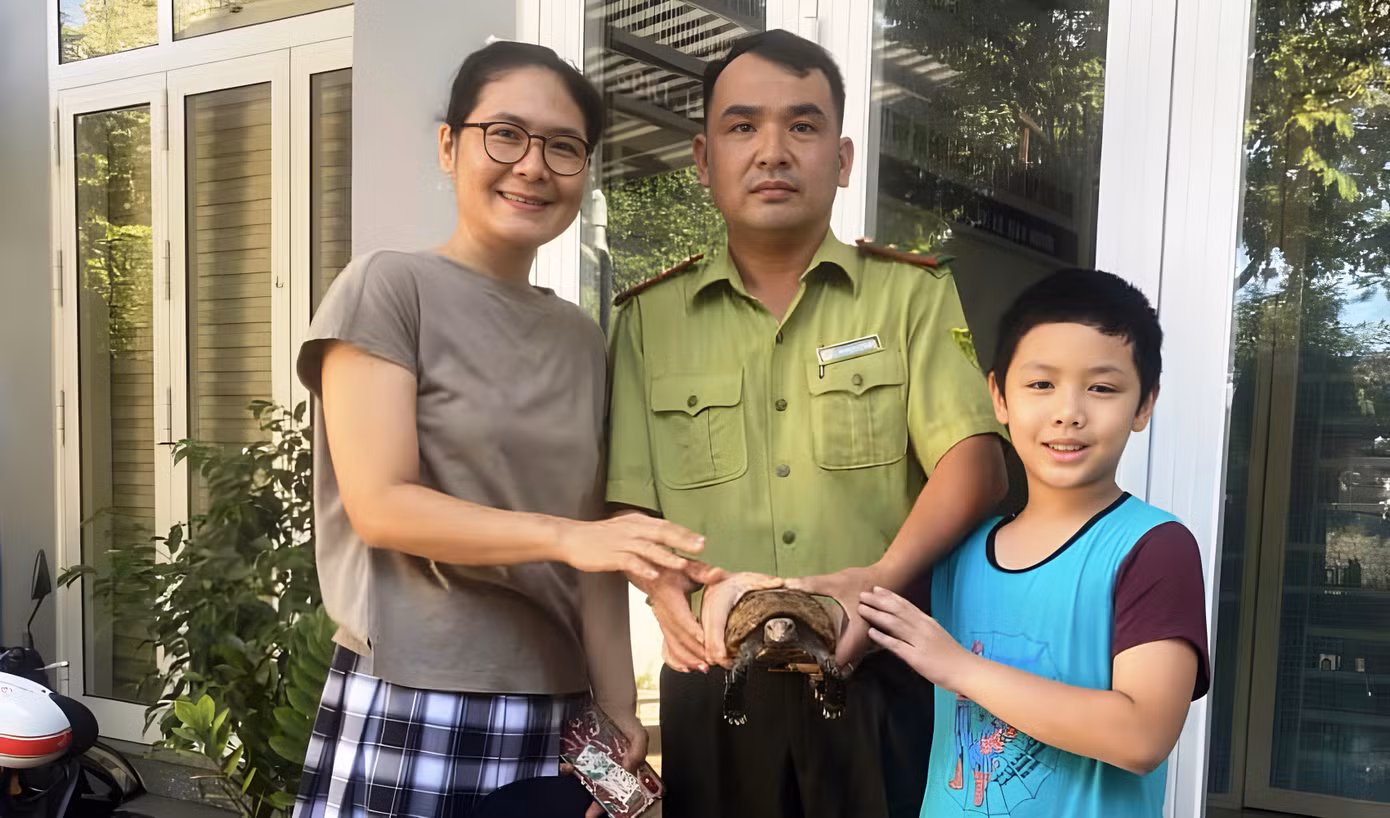 Chị Lê Quý Tiểu Hải giao nộp cá thể rùa quý hiếm cho cơ quan kiểm lâm.