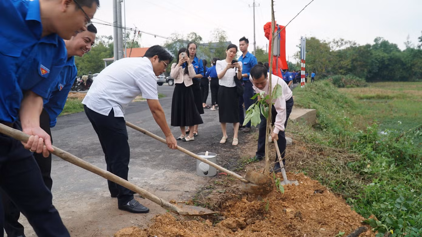 Trồng cây xanh tạo cảnh quan, bóng mát tại thị trấn Phú Đa.