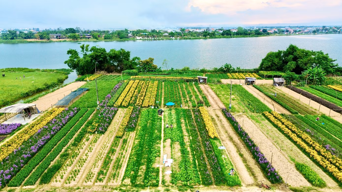 Xã Phú Mậu xưa và nay là phường Dương Nỗ còn có vựa hoa lớn nhất xứ Huế - làng hoa Phú Mậu. Với hàng chục ha đất trồng hoa tập trung ở các vùng Tiên Nộn, Vọng Trì, Thế Vinh, Thanh Tiên, đây là địa phương cung cấp lượng hoa tươi lớn nhất cho Huế và các tỉnh, thành lân cận. Mỗi dịp lễ Tết, nơi đây rộn ràng cảnh mua bán hoa tươi, mang sắc Xuân về khắp miền Trung.