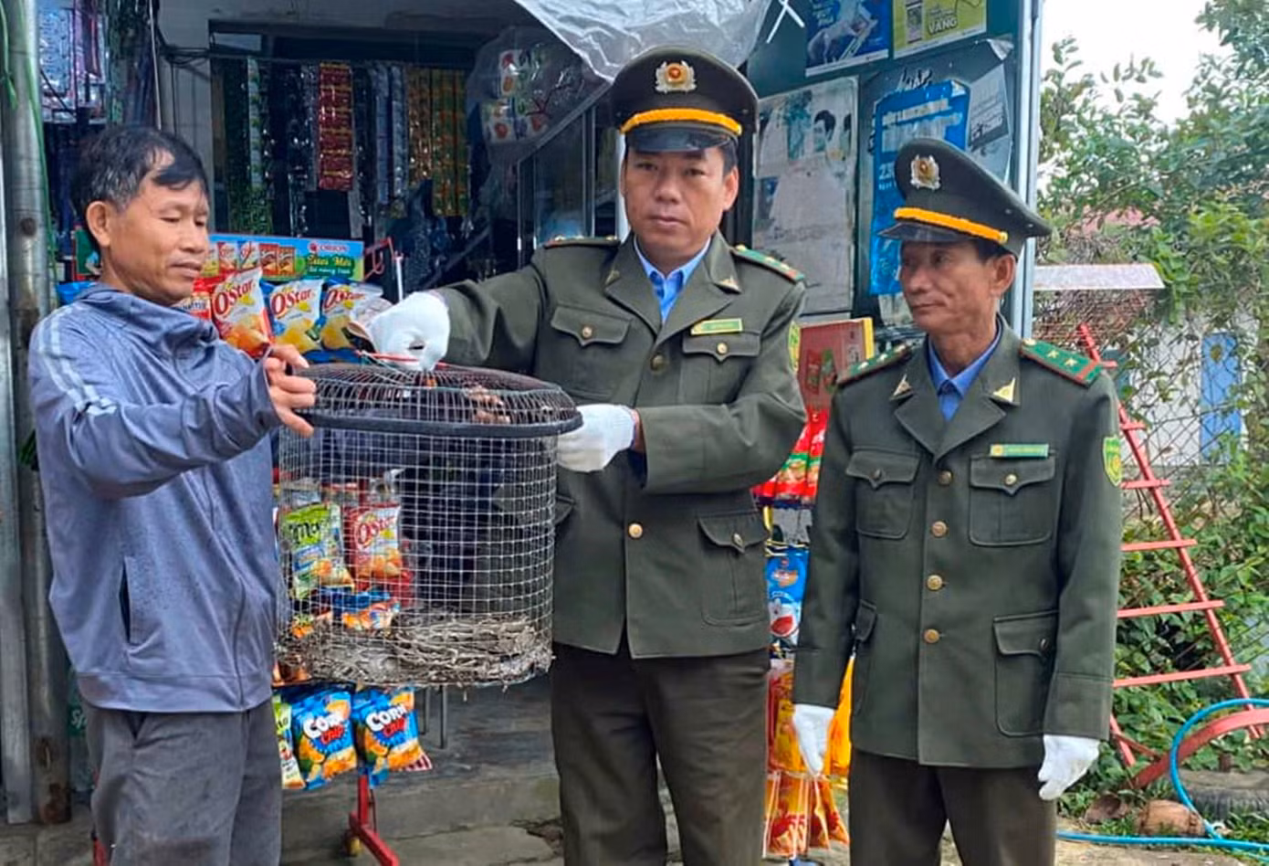 Cán bộ Hạt Kiểm lâm huyện Phú Lộc (Huế) tiếp nhận cá thể trăn gấm quý hiếm do người dân tự nguyện giao nộp.