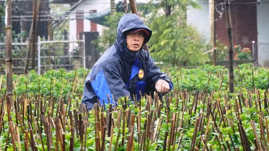 Huế xuất hiện mưa rét như mùa đông dù đã bước sang thời điểm giữa tháng 4.