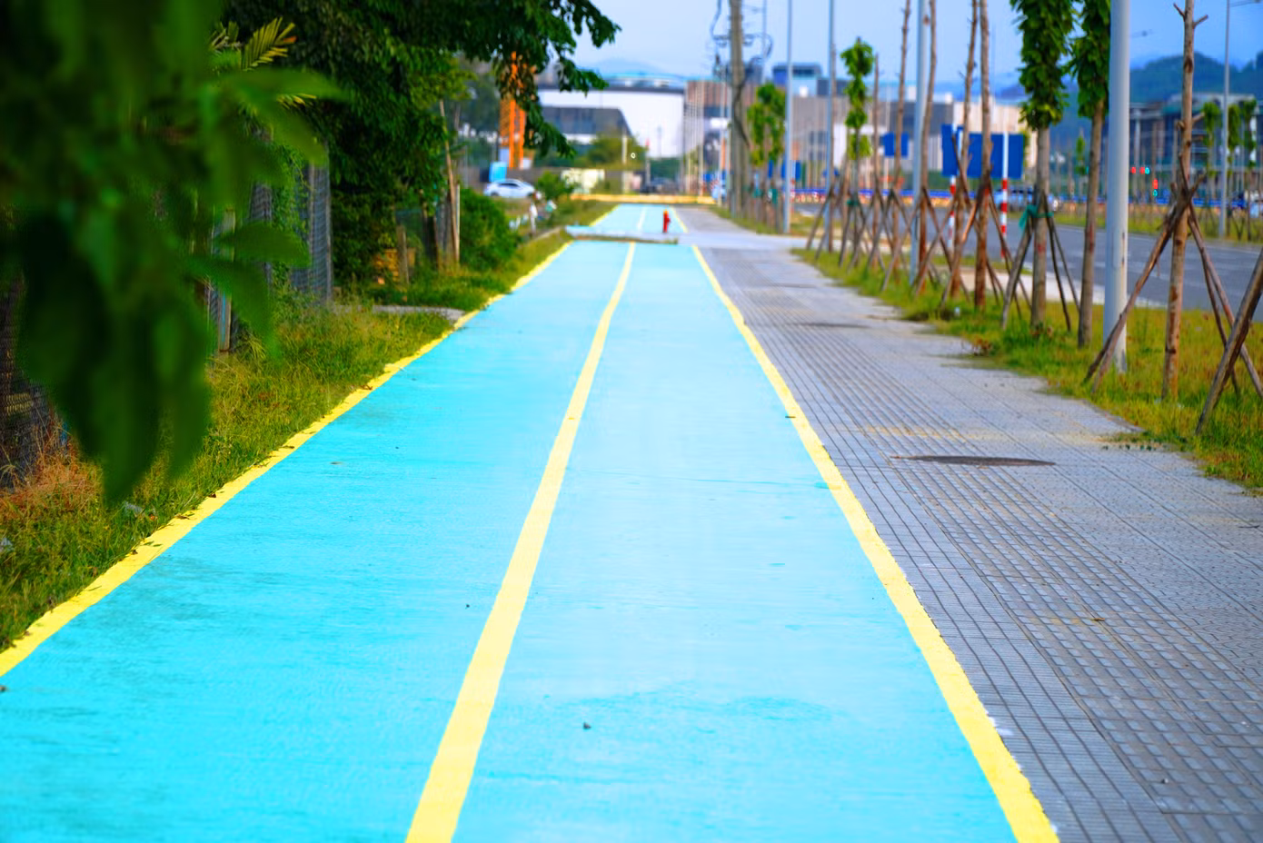 Đáng chú ý, những ngày gần đây, đơn vị nhà thầu thi công vỉa hè, cây xanh đã cho tiến hành sơn một phần vỉa hè, với màu xanh lá gần như đồng nhất kéo dài hàng km.