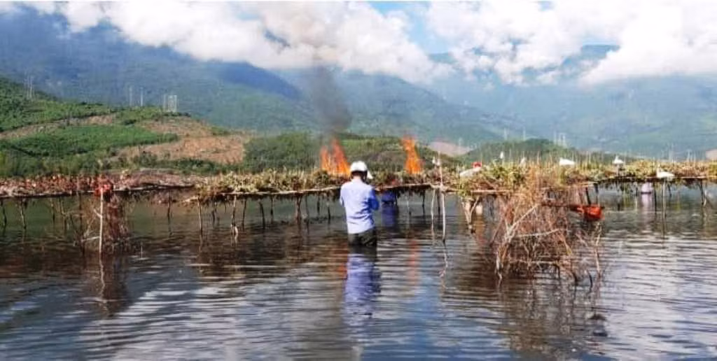 Đốt hủy các giàn bẫy chim lớn đặt trên mặt nước đầm phá. Ảnh: Kiểm lâm TT-Huế