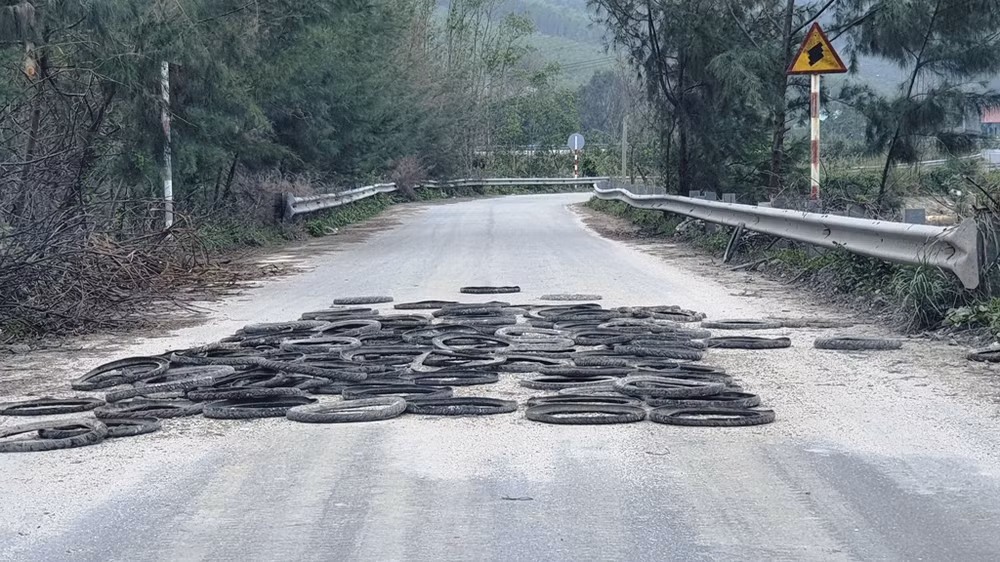 Hồi kết cho nghề nuôi hàu 'lạ lùng' bằng vỏ lốp cao su ảnh 4