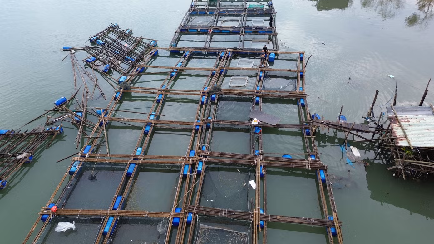 “Sau khi bão đi qua, chính quyền địa phương chỉ đạo các tổ dân phố rà soát, thống kê các hộ bị ảnh hưởng thiệt hại, từ đó tổng hợp báo cáo, đề nghị các cơ quan có thẩm quyền xem xét, có đề nghị chính sách hỗ trợ kịp thời cho bà con ổn định sinh kế”, ông Nhân thông tin.