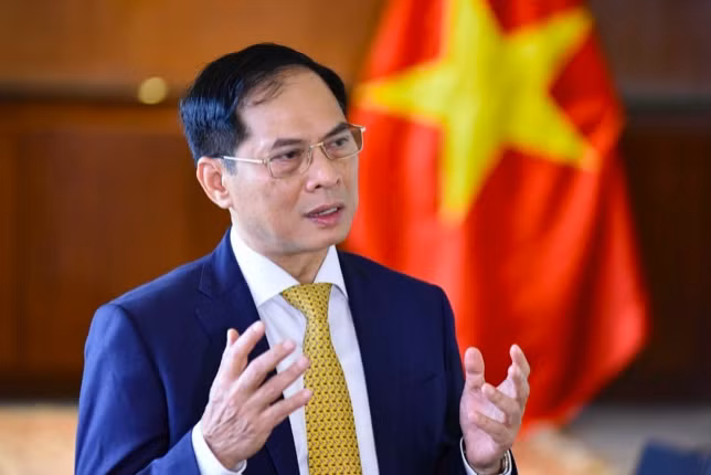 Phó Thủ tướng Chính phủ Bùi Thanh Sơn.