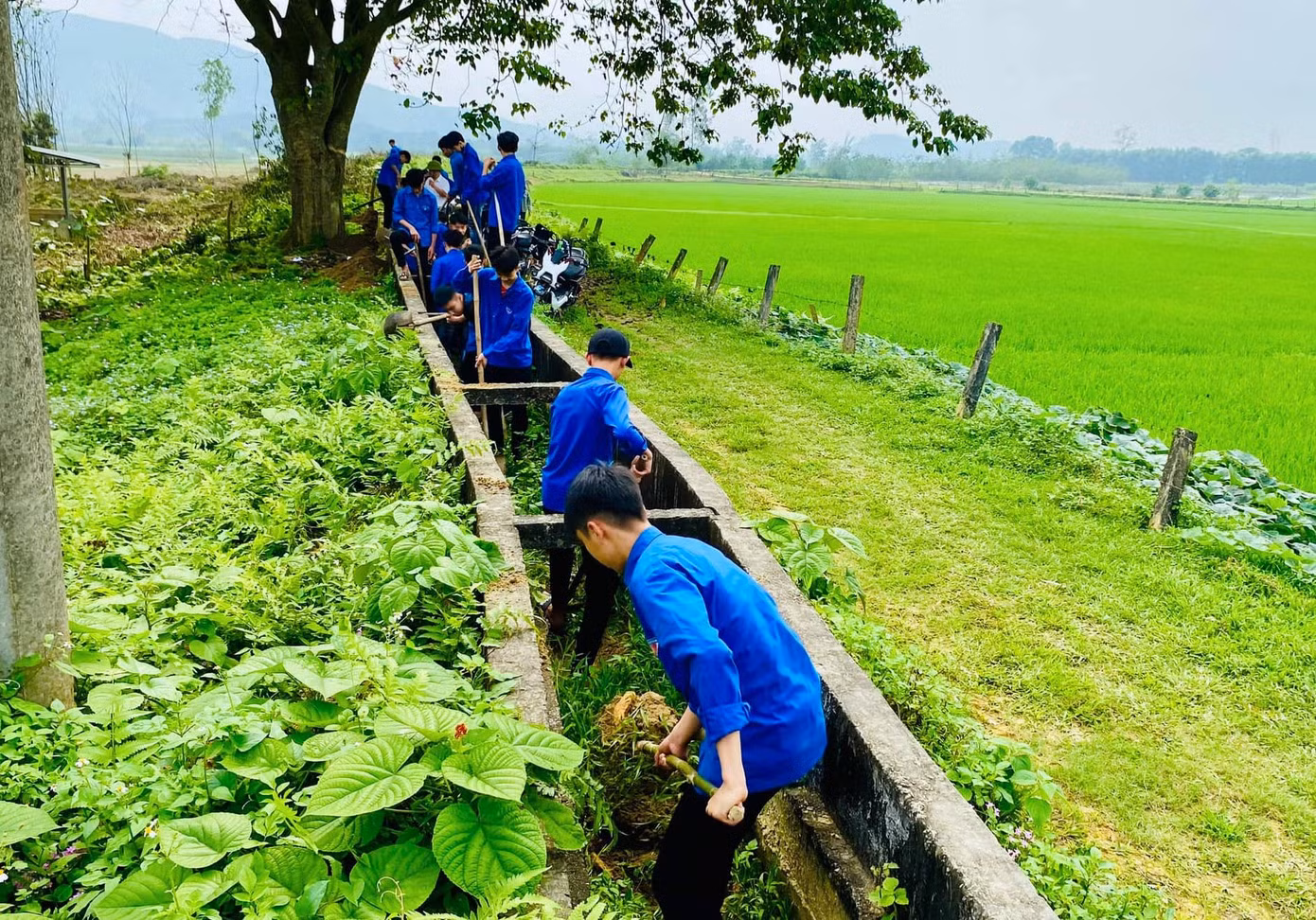 Trong đó, có 225 đội hình thanh niên tình nguyện xây dựng đô thị văn minh được triển khai.