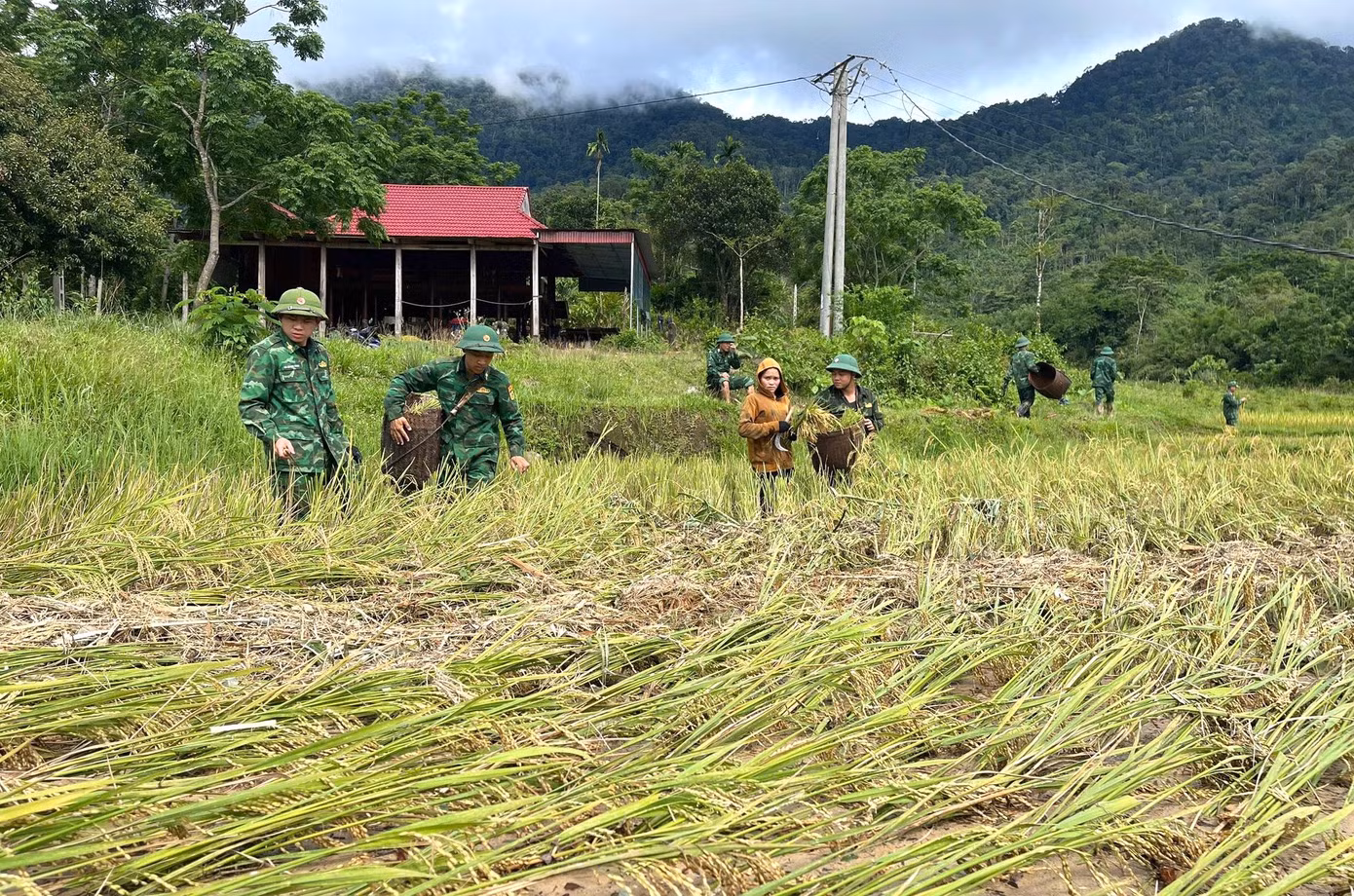 Theo thống kê của cơ quan chức năng, trận lũ quét đã khiến khoảng 140ha lúa của người dân trên địa bàn huyện Quế Phong bị thiệt hại, hư hỏng. Tại huyện Tương Dương, trận lũ quét cũng khiến khoảng 47ha lúa bị hư hỏng, gần 18,4ha hoa màu bị thiệt hại.