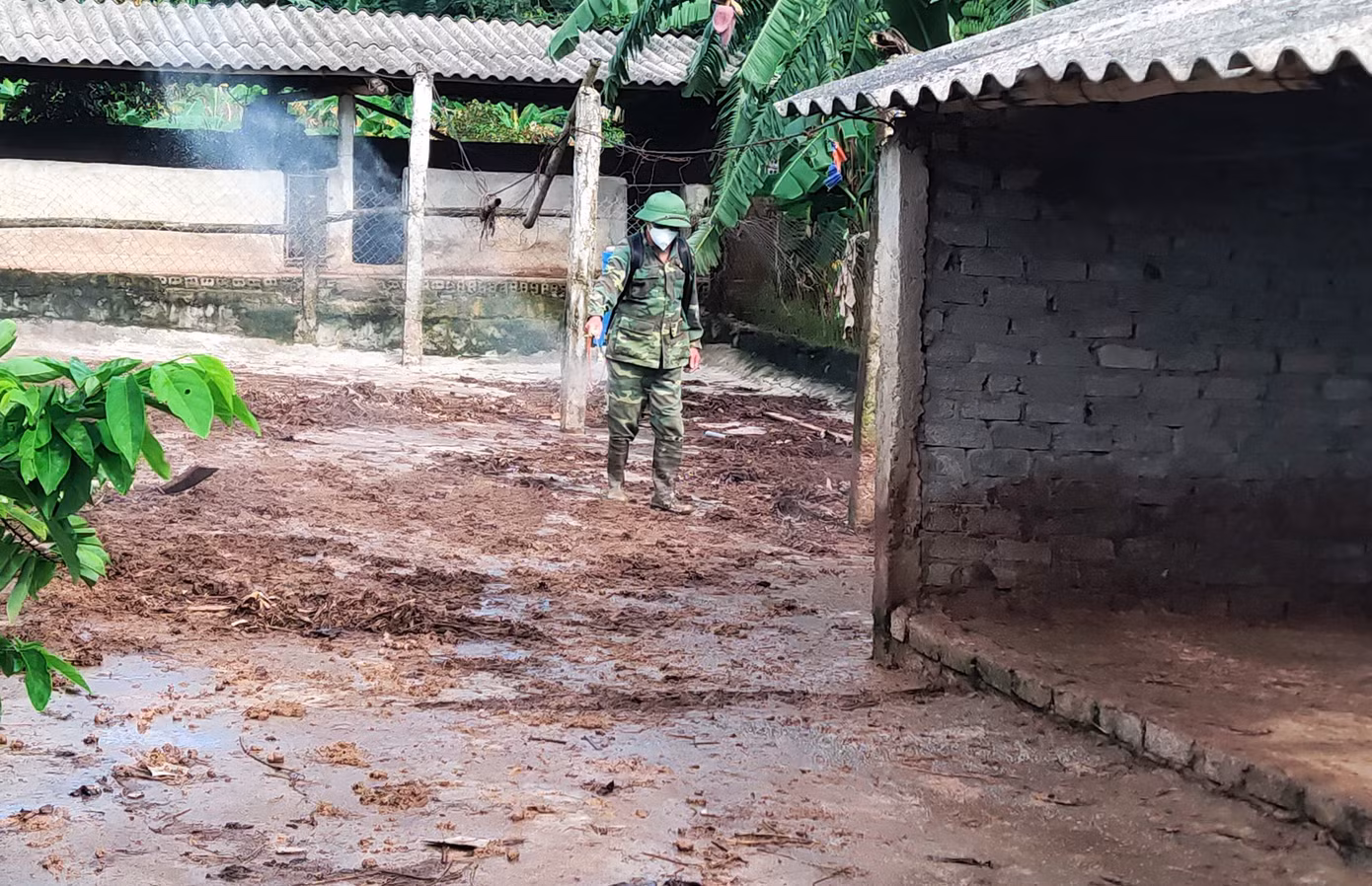 Cơ quan chức năng phun khử trùng khu vực có dịch tả lợn Châu Phi. Cơ quan chức năng phun khử trùng khu vực có dịch tả lợn Châu Phi.