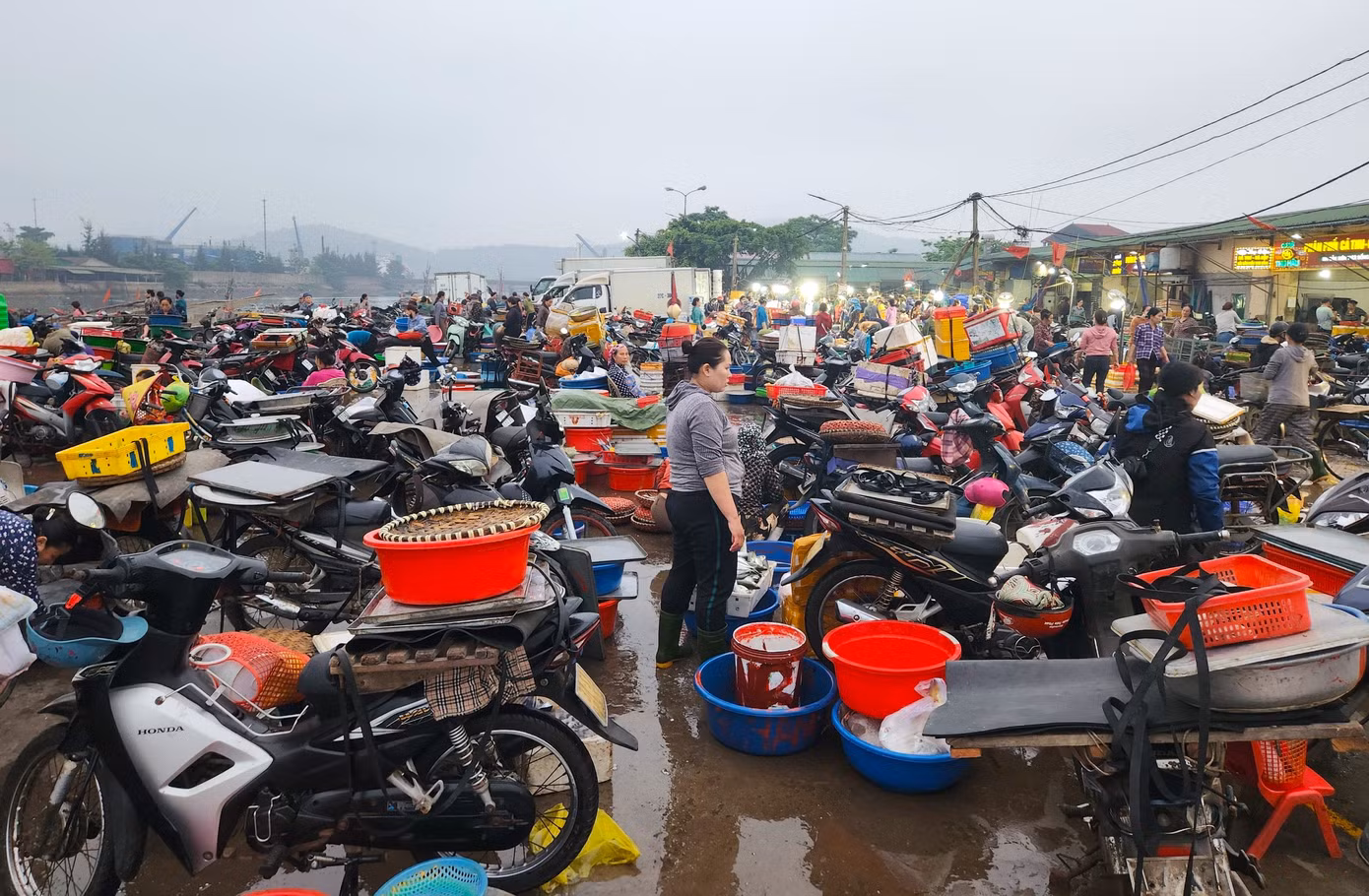Trên bờ là khu chợ kinh doanh các mặt hàng hải sản. Bến cá và chợ được hình thành từ cả trăm năm trước. Đây được xem là chợ hải sản lớn nhất trong vùng. Tiểu thương khắp nhiều nơi về đây mua hàng để bán lại cho người dân ở các khu chợ gần xa trên khắp các huyện, thành, thị.