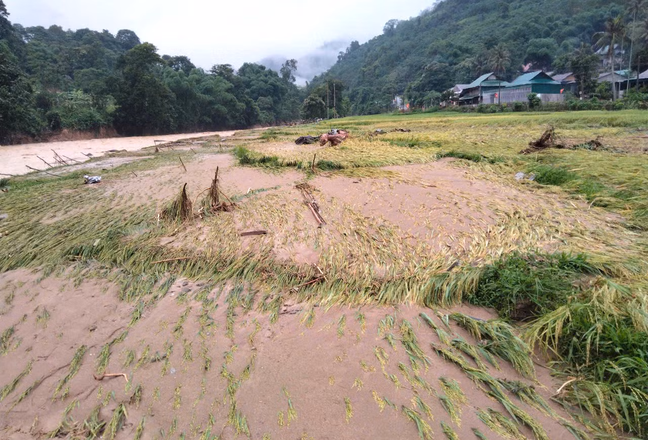 Trận lũ đã khiến 140ha lúa bị ảnh hưởng, 16,6ha hoa màu bị ảnh hưởng. Có 12 con bò, lợn và 285 con gia cầm bị lũ cuốn trôi tại các xã Nậm Giải, Mường Nọc và Tri Lễ (huyện Quế Phong). Huyện Kỳ Sơn có 1 con trâu của người dân bị cuốn trôi.