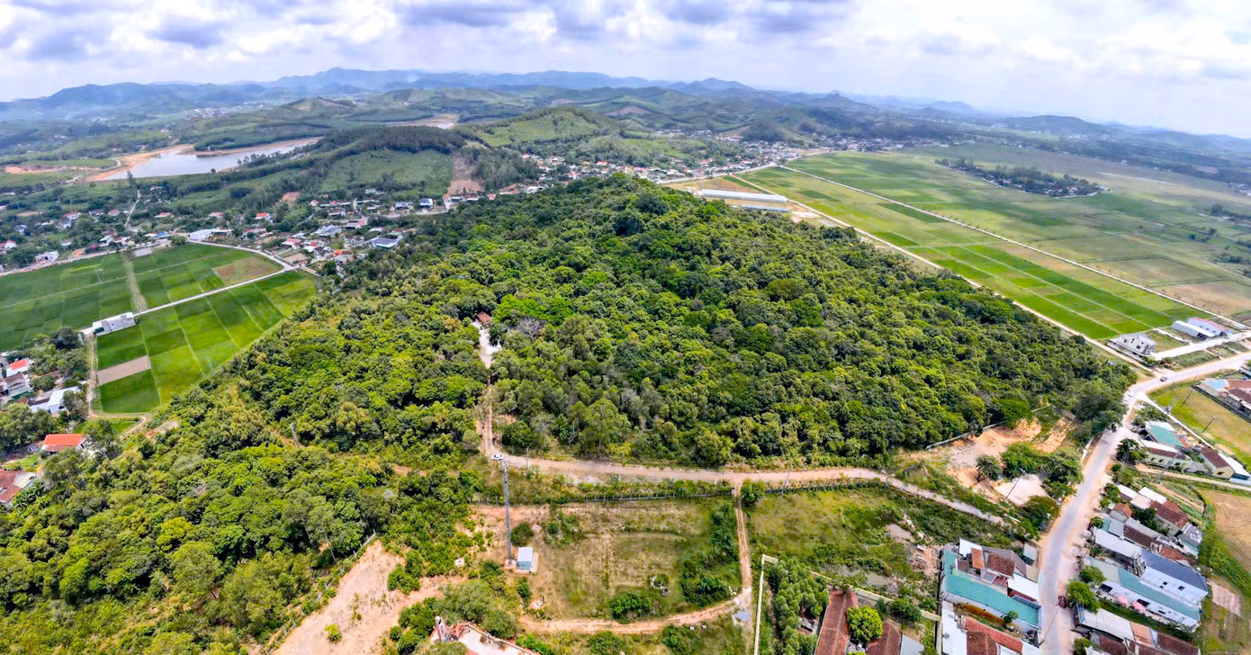 Rừng lim ở xã Hậu Thành hay còn gọi là núi Tháp nằm ngay trung tâm xã Hậu Thành, cách trung tâm huyện Yên Thành (Nghệ An) khoảng 7km. Toàn bộ khu rừng rộng hơn 18ha với hàng nghìn cây gỗ quý các loại; bốn phía là khu dân cư, đường giao thông liên thôn, xã. Nơi đây được ví như “lá phổi xanh” giúp điều hòa không khí cho người dân trong vùng nên ai cũng quý trọng.