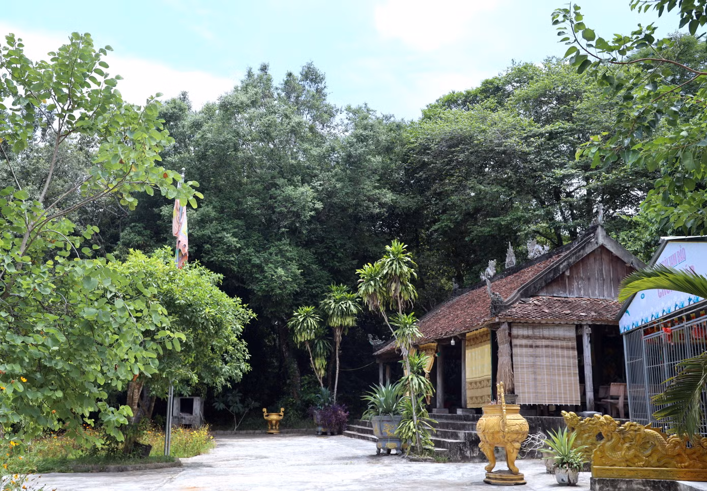 Từ đường lớn dẫn vào khu rừng đi qua ngôi đền Cả và ngôi chùa Tháp.
