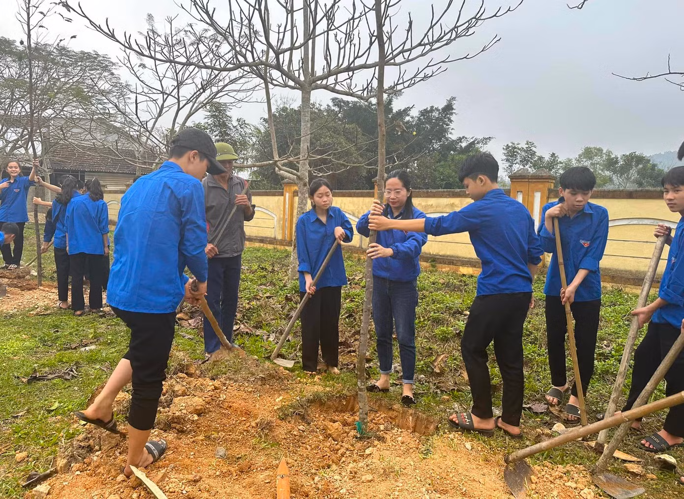 Những cây xanh lớn được các đoàn viên thanh niên trồng trong ngày Tết trồng cây xuân Giáp Thìn 2024.