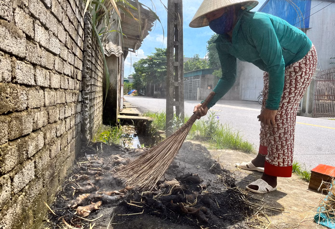 Chuột được sơ chế bằng cách thui qua lửa rơm. Những người thợ sau đó sẽ lột bỏ da, loại bỏ chân, đuôi, đầu và toàn bộ nội tạng. Người thợ chỉ giữ lại chắc phần thịt để bán cho khách. Với mỗi kg thịt chuột đã làm sạch, sẽ có giá từ 100.000 - 150.000 đồng tùy loại.