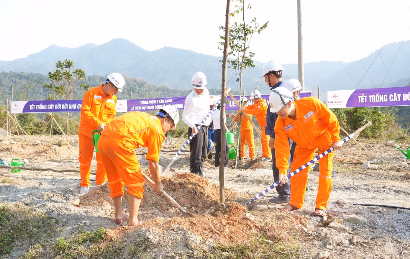 Công ty Thủy điện Bản Vẽ tổ chức trồng cây xanh để hưởng ứng "Tết trồng cây" đời đời nhớ ơn Chủ tịch Hồ Chí Minh và thực hiện "Chương trình trồng 1 tỷ cây xanh vì một Việt Nam xanh" do Thủ tướng Chính phủ phát động.